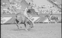 Bud Pauley on unknown Bronc