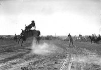 [Unidentified Cowboy off saddle and falling backward atop a completely airborne Saddle bronc]