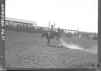 John Tubbs on Empty Saddles