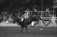 Ricky L. Reynolds on Cassanova