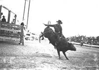 [Unidentified cowboy riding bull]