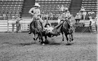 Craig Glasgow Steer wrestling