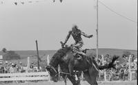 Amateur bronc rider Kevin Browning