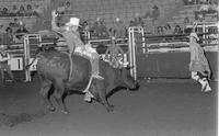 Jeff Allen on Bull #44