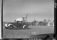 Andy Womack and his Brahma Over Car