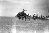 Curley Kelley on "Highball" Sheridan, Wyo. Rodeo