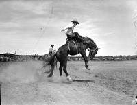 [Unidentified Cowboy riding bronc]