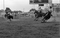 Johnny Woods & Ricky Armstrong Team roping