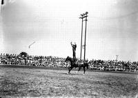 [Unidentified Cowgirl doing Hippodrome stand]