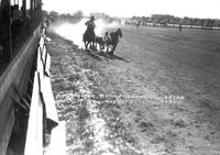 Fay Faulk Bulldogging Fullerton Rodeo