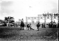 Slats Jacobs Bulldogging All American Rodeo