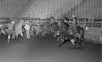 Colin Howell Calf roping