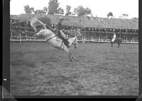 Jim Turner on Sadie Gray