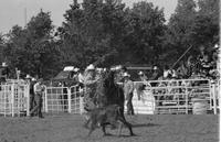 Butch Myers Calf roping