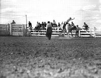 [Unidentified bull rider with rodeo clown looking on]