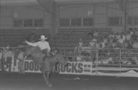 Steve Lassen on Miss Lynn