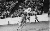 Eddie Jarnagin on Rebel Cause