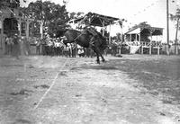 Dan Wilder on "High Test" Sidney Iowa Rodeo