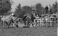 Butch Myers Steer wrestling