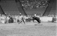 Jimmy D. Smith Calf roping