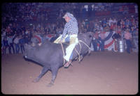 Unidentified Bull rider