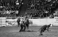 David Dohlman Calf roping, 9.0 Sec
