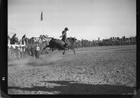 Glen Tyler on Bull #108