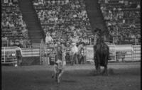 Dennis Hutcherson Calf roping
