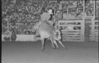 John Davis on Bull #22