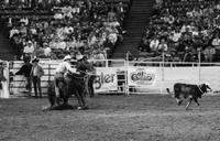 Gene Baker Calf roping