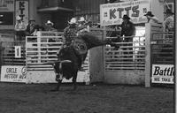 Randy Magers on Bull #C39