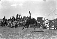 Andy Curtis on "Red Snapper" Pampa Rodeo