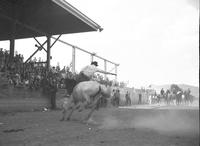 Elmer Fisher on White Whirler