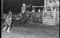 Mitch Gaines on Bull #712