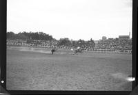 Buck Sorrells Steer Roping