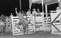 Clint Breckenridge on Bull #P81