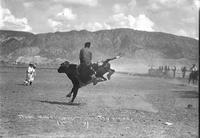 Jesse Naegel Riding Cedar City Rodeo