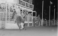 Bugs Coe on Bull #+7