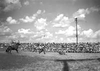 [Unidentified calf roper running to calf]