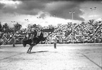 [Unidentified Cowboy riding bareback bronc whose rear legs are kicked up and out as clowns look on]