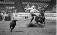 Joe Dorenkamp Calf roping