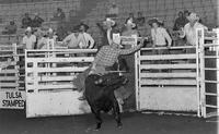 John Luthi on Bull 95