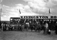 [Large group of people gathered around microphone in front of Livingston Rodeo chutes]