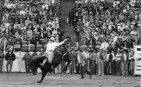 Jeff Collins on Ripcord