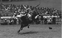 John Dunbar on Bull #T9