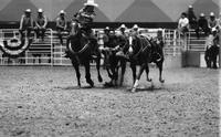 Boo Klein Steer wrestling