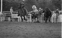 Paul Luchsinger Steer wrestling