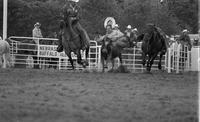 Paul Luchsinger Steer wrestling