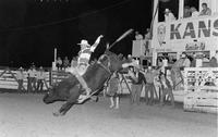 Sam Minnick on Bull #2