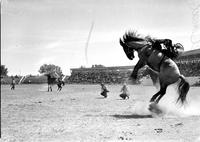 [Unidentified Cowboy leaving bronc as two photographers cover the action]